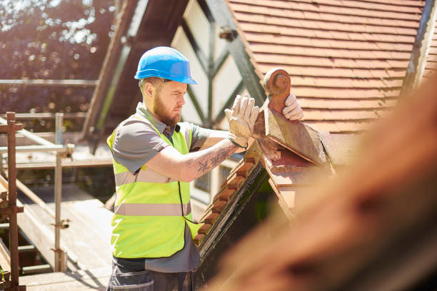 Best Storm Damage Roof Repair  in Terryville, CT