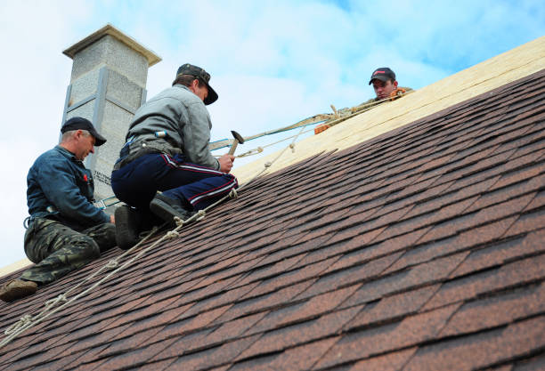 Roof Waterproofing Services in Terryville, CT